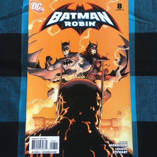 Batman and Robin 8